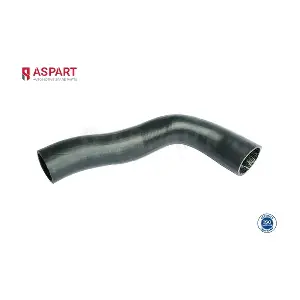 5HOS1081 ASPART