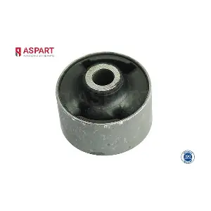 ASPART 1BUS1107