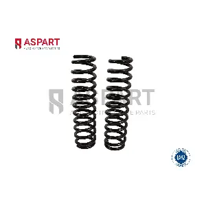 1CSP1008 ASPART