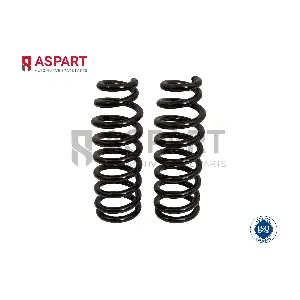 1CSP1137 ASPART