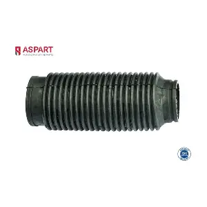 1DPS1013 ASPART