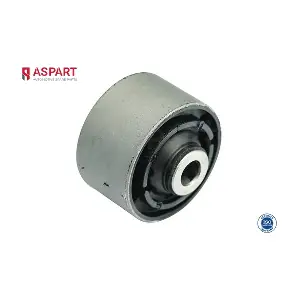 1BUS1113 ASPART