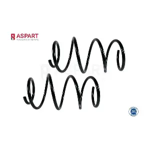 1CSP1048 ASPART