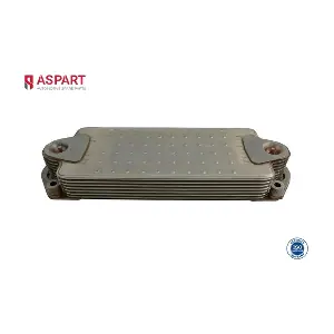 6OCO1056 ASPART
