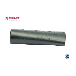 ASPART 1DPS1024