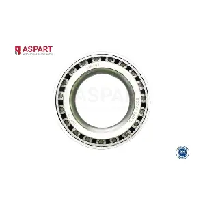1WBE1037 ASPART