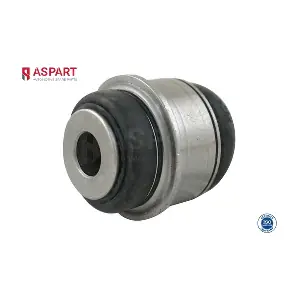 1BUS1032 ASPART
