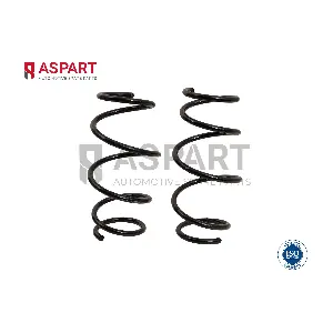 1CSP1128 ASPART