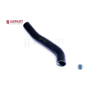 6HOS1498 ASPART
