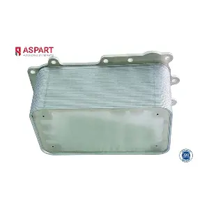 6OCO1072 ASPART