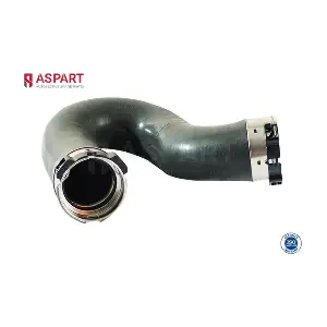 5HOS1387 ASPART