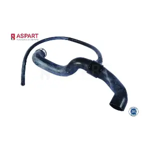 6HOS1217 ASPART