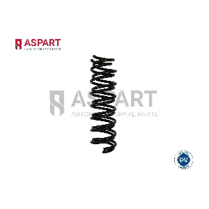 1CSP1063 ASPART
