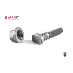 1WPI1007 ASPART
