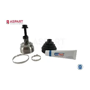 1JKD1081 ASPART