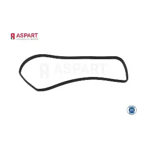 5GAS1087 ASPART
