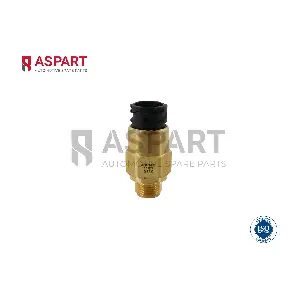 2PSE1060 ASPART