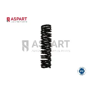1CSP1065 ASPART