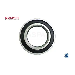 1WBE1049 ASPART