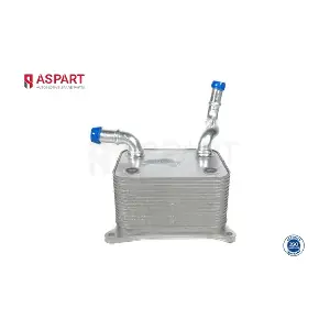 6OCO1025 ASPART