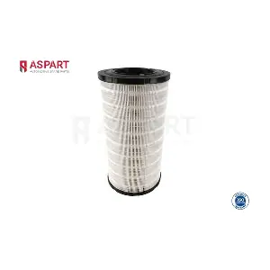 5AFI1018 ASPART