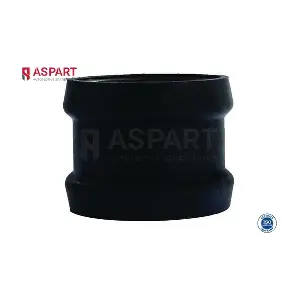 6HOS1381 ASPART
