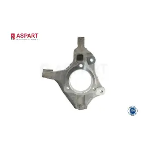 1SKN1004 ASPART