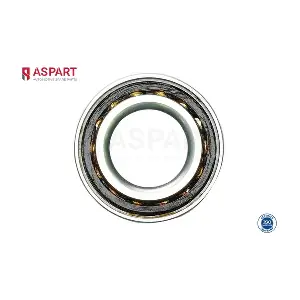 1WBE1008 ASPART