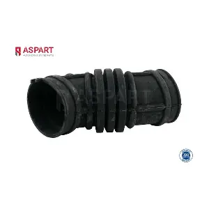 5HOS1343 ASPART