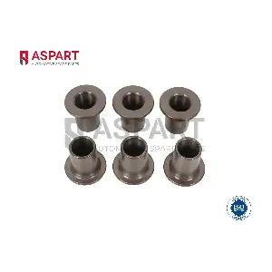 5IHO1029 ASPART
