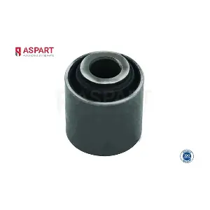 1BUS1111 ASPART