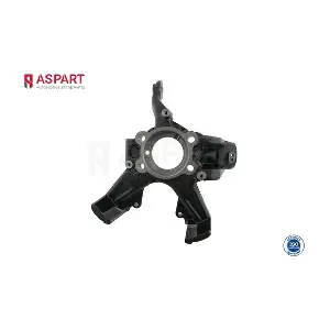 1SKN1013 ASPART