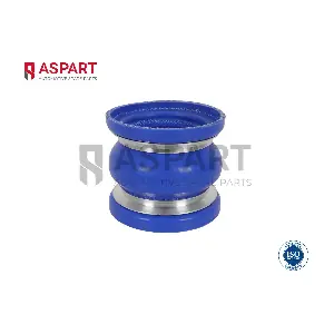5HOS1316 ASPART