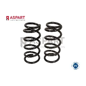 1CSP1121 ASPART
