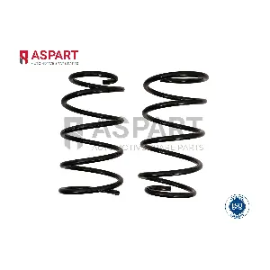 1CSP1151 ASPART