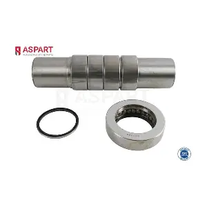1RKI1080 ASPART