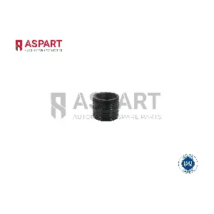 6PIP1025 ASPART