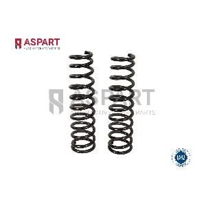1CSP1109 ASPART