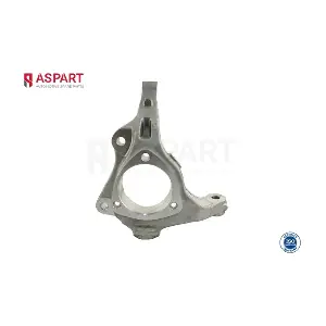 1SKN1001 ASPART