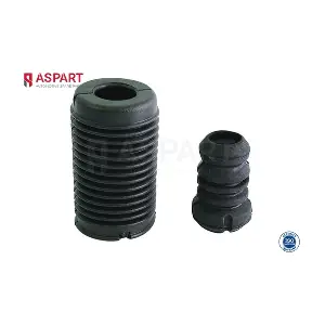 1DPS1007 ASPART