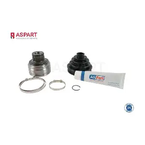 1JKD1089 ASPART