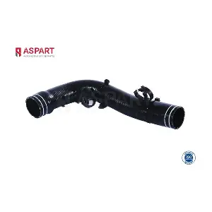 6HOS1429 ASPART