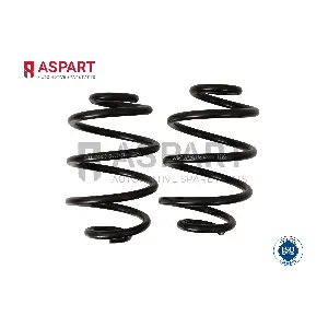 1CSP1086 ASPART