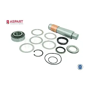 ASPART 1RKI1047