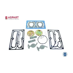 5RKI1012 ASPART