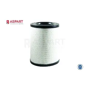 5AFI1033 ASPART