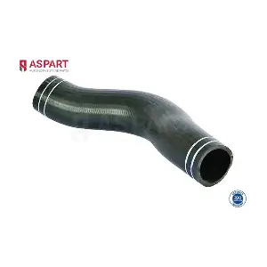 5HOS1077 ASPART