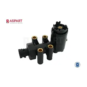 1VAL1003 ASPART