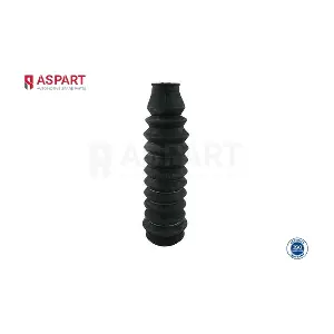 ASPART 1BST1008