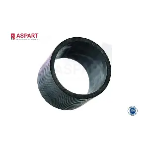 5HOS1099 ASPART